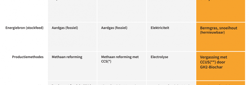 Vermeulen Groep maakt waterstof uit bermgras