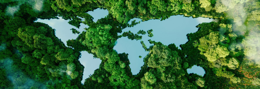 Column Laurens de Vrijer: Verpesten grondstoffen het duurzame feestje?