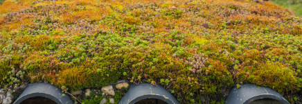 Knaapen bouwt klimaatadaptief met groen en circulair dak