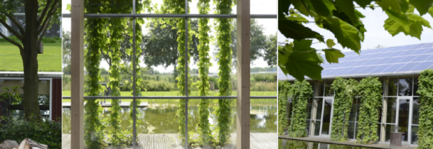 TVVL Eindedaglezing Het groene gebouw