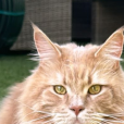 Profielfoto van Remco van der Linden